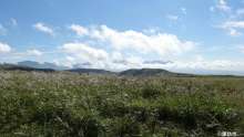 霧ヶ峰31_秋・忘れ路の丘（ガボッチョ山／八ヶ岳方面）